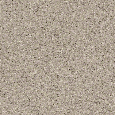 LIFES IMPRESSION 25 W/WATER PROOF BACKING 22SOFT CHENILLE 1ST SHAW INDUSTRIES, INC